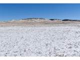 6983 County Road 53 - Photo 15