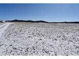 6983 County Road 53 - Photo 16