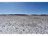6983 County Road 53 - Photo 17