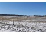 6983 County Road 53 - Photo 30