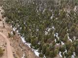 278 Penrose Cir - Photo 4