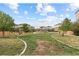 4429 Vindaloo Dr - Photo 49