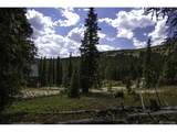 233 Camron Ln - Photo 3