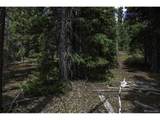 233 Camron Ln - Photo 6