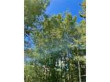 41 Poplar Cir - Photo 45