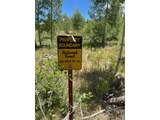 41 Poplar Cir - Photo 46