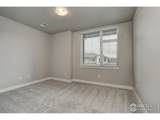 4210 Vulcan Creek Dr - Photo 20