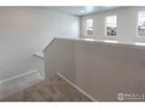 2957 Barnstormer St - Photo 19
