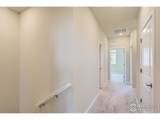 755 Pokeweed Ln - Photo 13