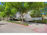 14246 Pikeminnow Pl - Photo 23