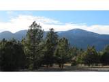 29266 Timber Ridge - Photo 15