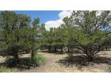 29266 Timber Ridge - Photo 29