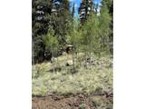2092 Stagestop Rd - Photo 25