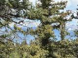 2092 Stagestop Rd - Photo 37