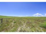  Last Dart Rd - Photo 3