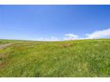  Last Dart Rd - Photo 4