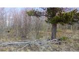  Foxtail Ct - Photo 7
