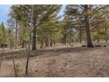 30406 National Forest Dr - Photo 15