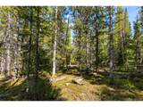 440 Gold Trail Cir - Photo 6