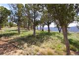 540 Deer Valley Dr - Photo 26