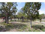 540 Deer Valley Dr - Photo 28