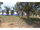 540 Deer Valley Dr - Photo 9