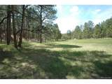 856 Woodridge Rd - Photo 1