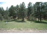 856 Woodridge Rd - Photo 2