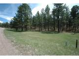 856 Woodridge Rd - Photo 3