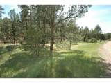 856 Woodridge Rd - Photo 4