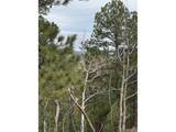  Mockingbird Trl - Photo 7
