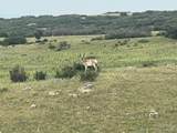  Tbd S State Highway 83 - 140 Acres - Photo 8