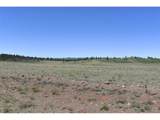 6983 County Road 53 - Photo 22