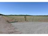 6983 County Road 53 - Photo 23
