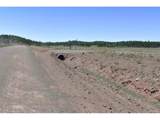 6983 County Road 53 - Photo 24