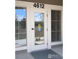 4612 Hahns Peak Dr - Photo 21