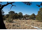  Naropa Tract - Photo 14