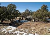  Naropa Tract - Photo 16