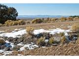  Naropa Tract - Photo 17