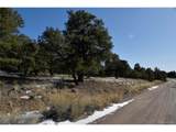 Naropa Tract - Photo 19