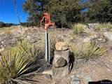  Naropa Tract - Photo 20
