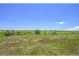  Last Dart Rd - Photo 4