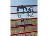 6642 Co Rd I - Photo 2