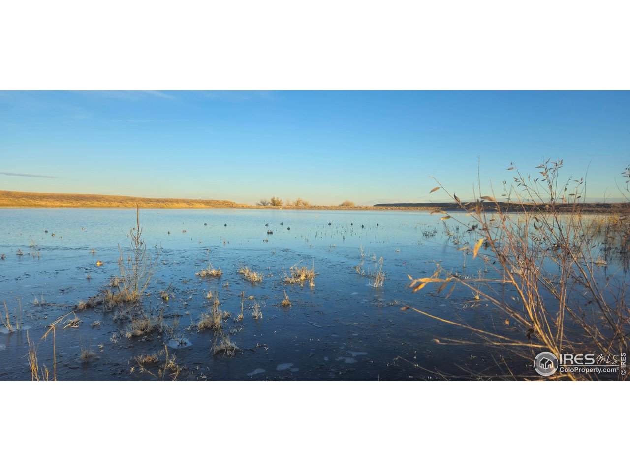 20528 County Road 3 - Photo 1