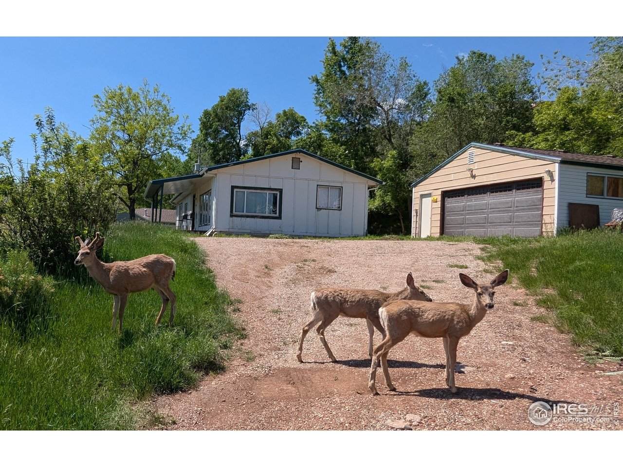 4809 Foothills Dr - Photo 1