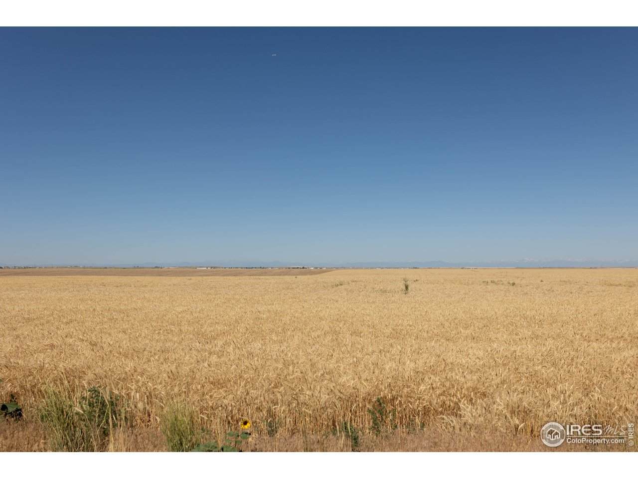1 Vacant Land Penrith - Photo 1