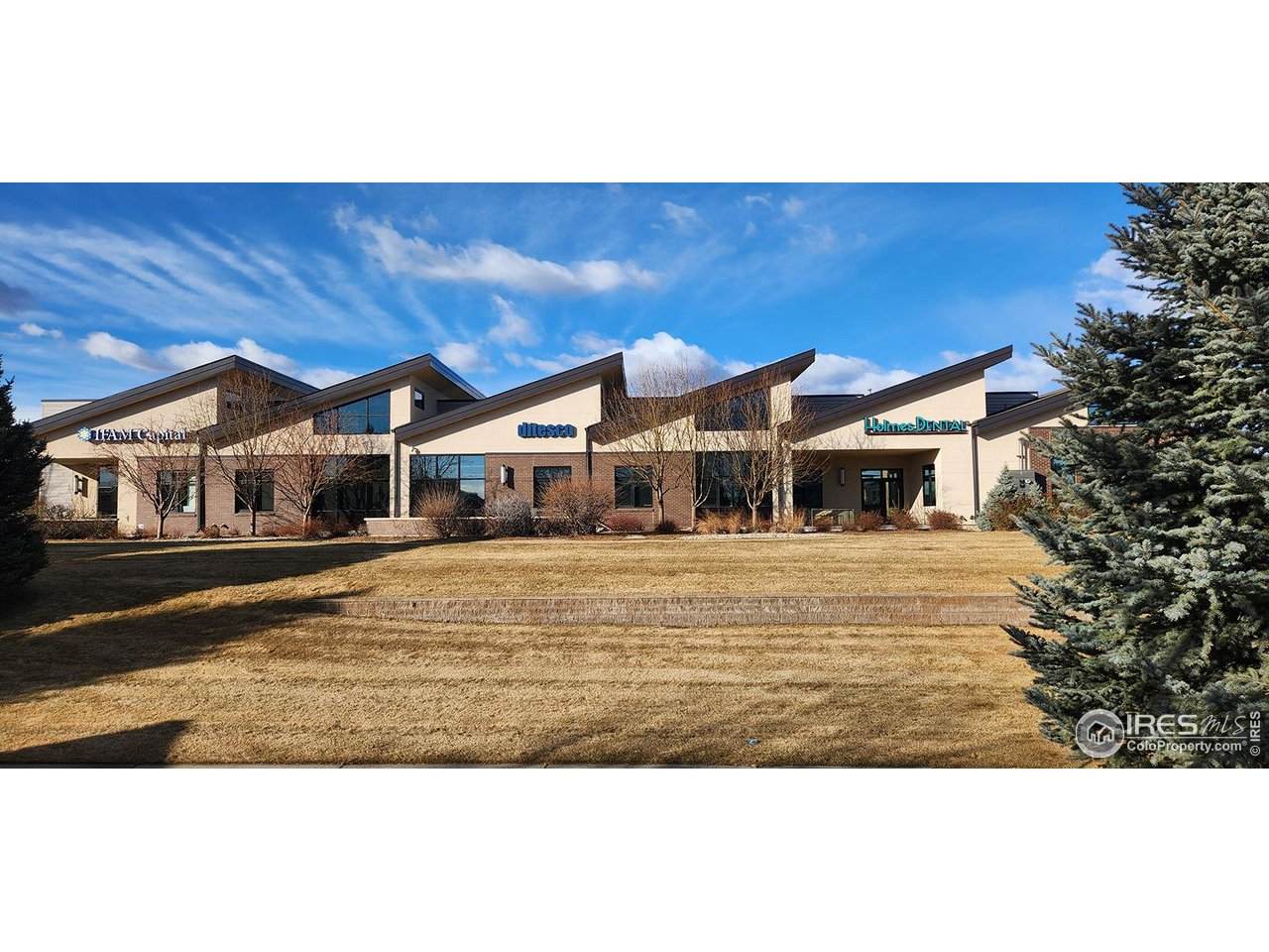 2133 Timberline Rd - Photo 1