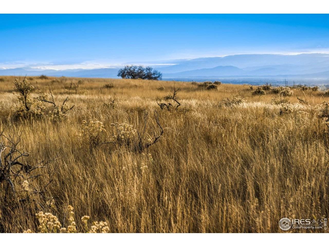 7923 County Road 84 - Photo 1