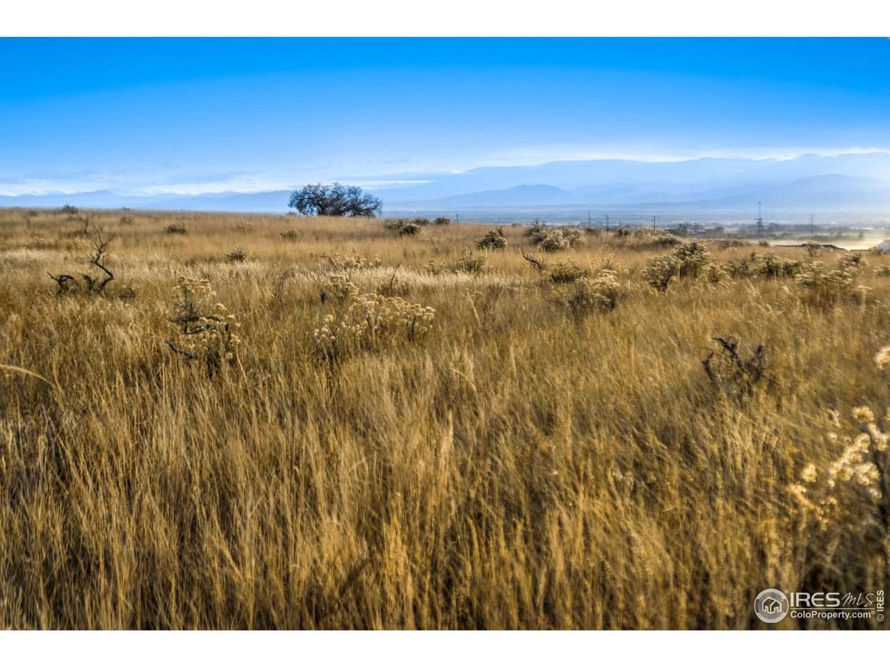 7895 County Road 84 - Photo 1
