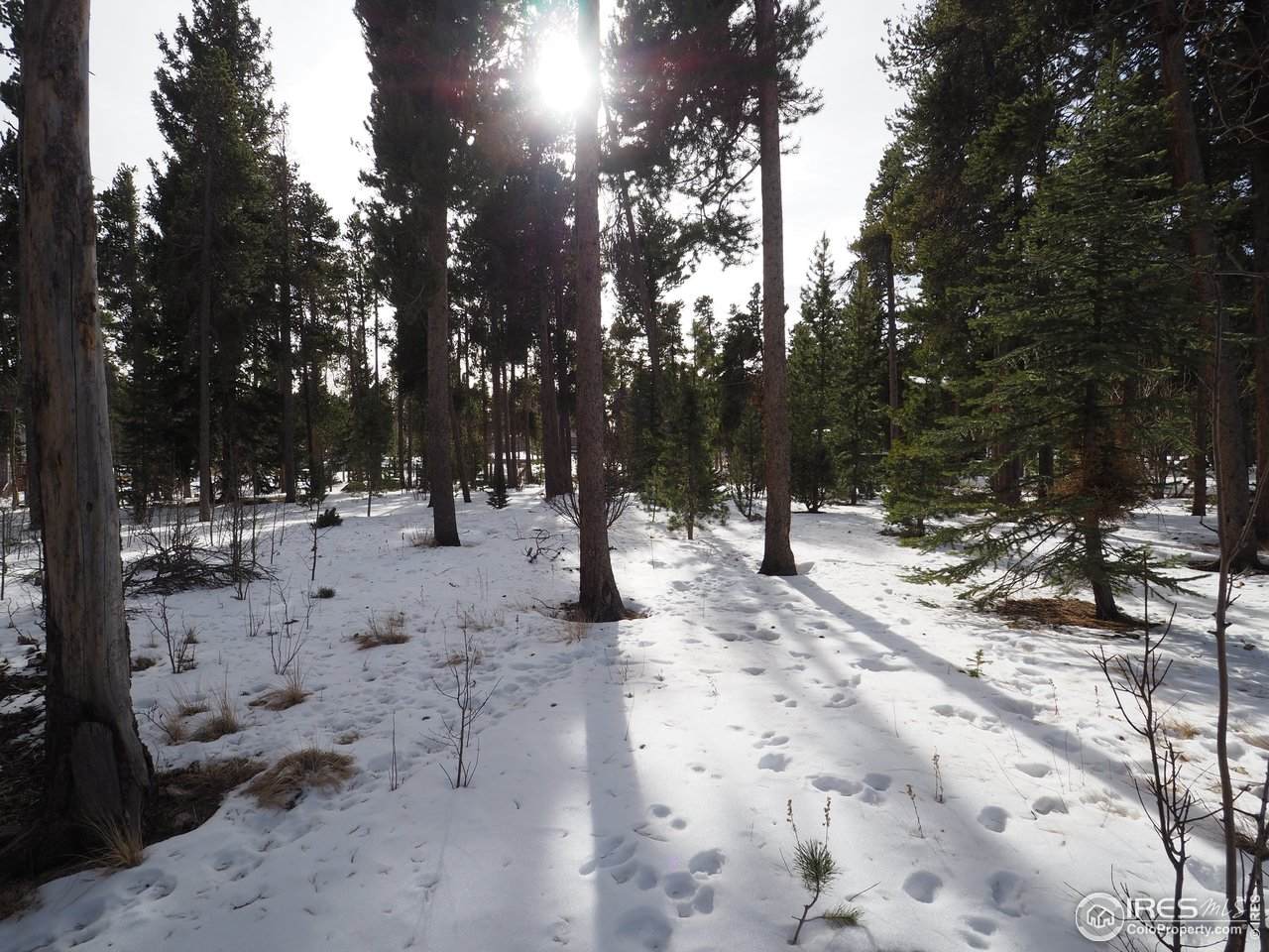 0 Long Trail Rd - Photo 1